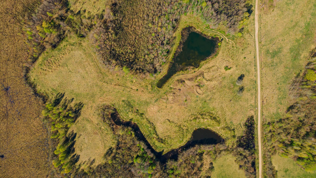Parduodamas sklypas Dugnų g., Ilgininkų k., Varėnos r. sav., 450.00 a ploto 7