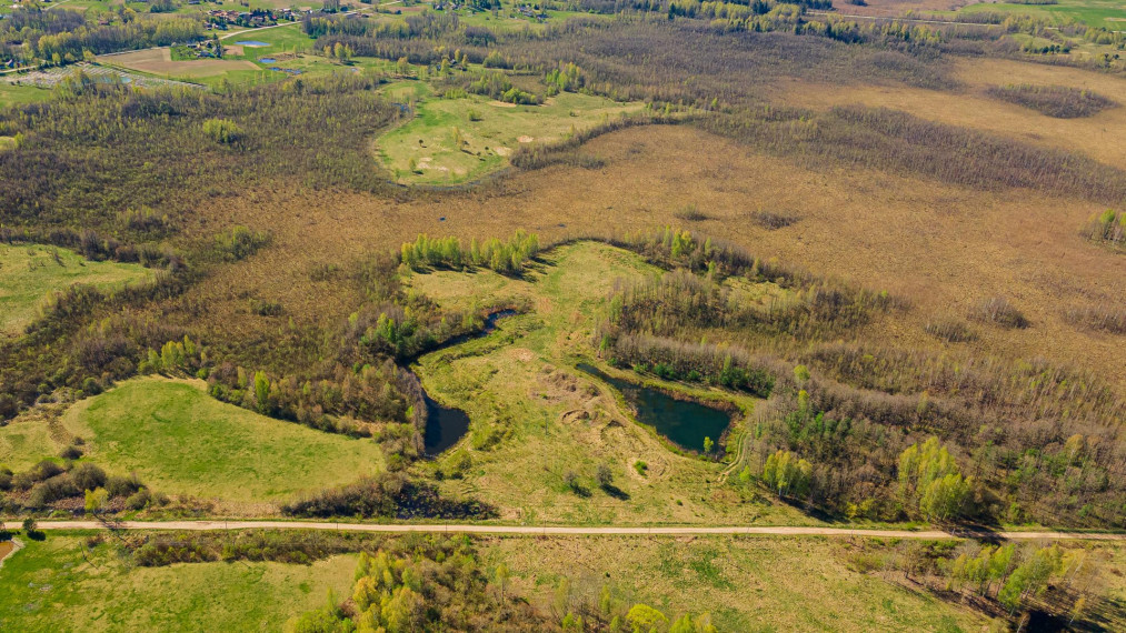 Parduodamas sklypas Dugnų g., Ilgininkų k., Varėnos r. sav., 450.00 a ploto 4