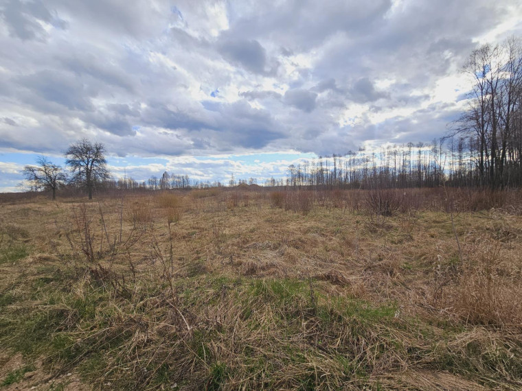 Parduodamas sklypas Dugnų g., Ilgininkų k., Varėnos r. sav., 450.00 a ploto 8