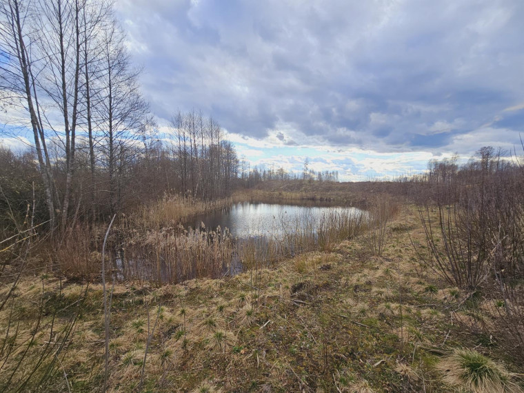 Parduodamas sklypas Dugnų g., Ilgininkų k., Varėnos r. sav., 450.00 a ploto 9