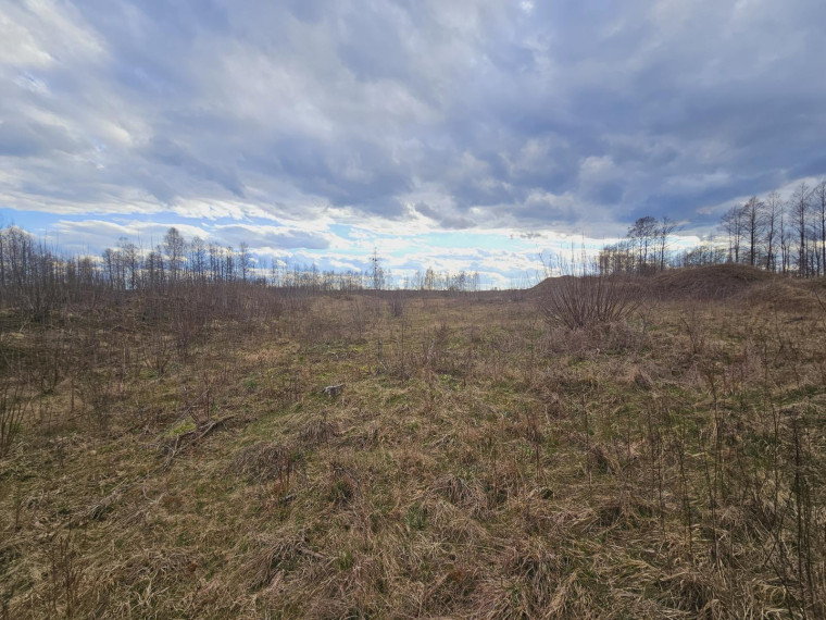 Parduodamas sklypas Dugnų g., Ilgininkų k., Varėnos r. sav., 450.00 a ploto 10