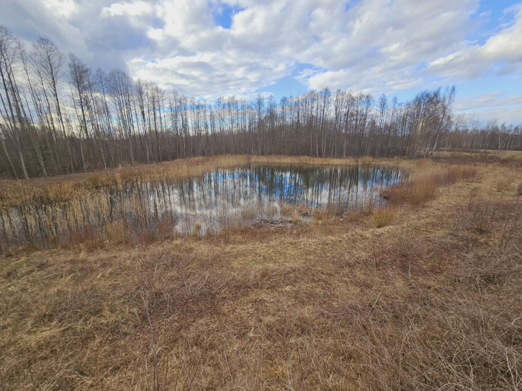 Parduodamas sklypas Dugnų g., Ilgininkų k., Varėnos r. sav., 450.00 a ploto 11