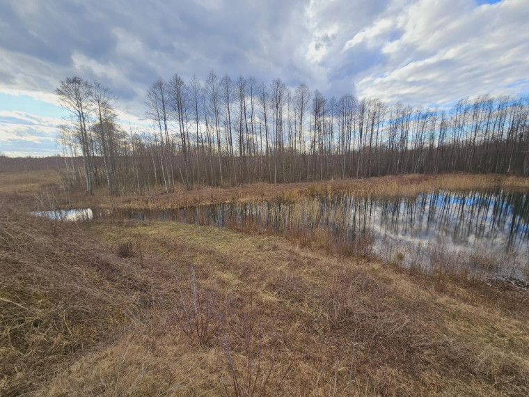 Parduodamas sklypas Dugnų g., Ilgininkų k., Varėnos r. sav., 450.00 a ploto 12