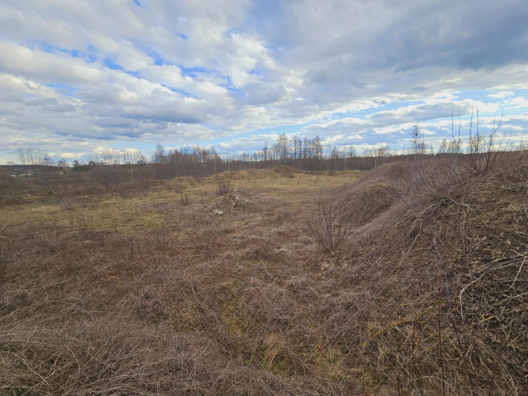 Parduodamas sklypas Dugnų g., Ilgininkų k., Varėnos r. sav., 450.00 a ploto 13