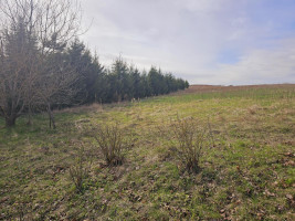Parduodamas sklypas Lapakalnio g., Padvariškių k., Alytaus r. sav., 108.00 a ploto 19