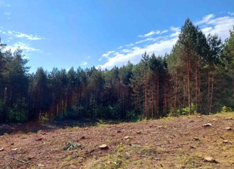 Parduodamas sklypas Pylimo g., Bukaučiškių II k., Alytaus r. sav., 94 a ploto