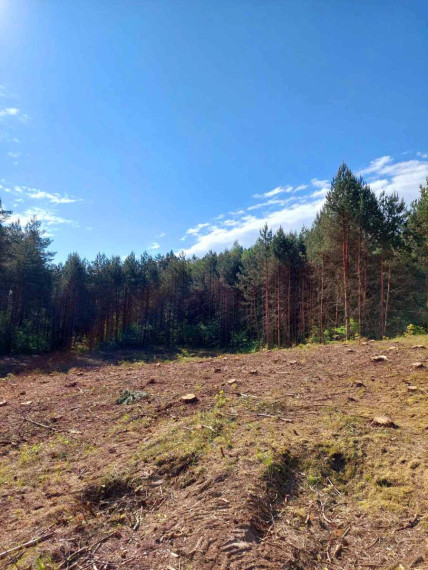Parduodamas sklypas Pylimo g., Bukaučiškių II k., Alytaus r. sav., 94 a ploto 1
