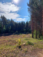 Parduodamas sklypas Pylimo g., Bukaučiškių II k., Alytaus r. sav., 94 a ploto 2