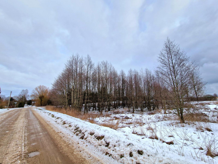 Parduodamas namas Miško g., Sundakų k., Prienų r. sav., 59 m² ploto 3 kambariai 10