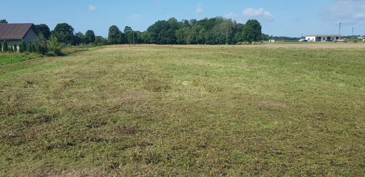 Parduodamas sklypas Radailių k., Klaipėdos r. sav., 14 a ploto 4
