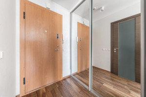Parduodamas butas Kareivių g., Žirmūnai, Vilniaus m., Vilniaus m. sav., 53.72 m2 ploto, 2 kambariai 21
