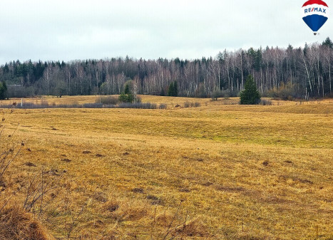 Parduodamas sklypas Mykoliškių k., 250 a ploto