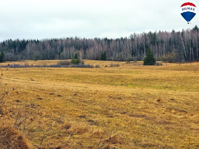 Parduodamas sklypas Mykoliškių k., 250 a ploto 1
