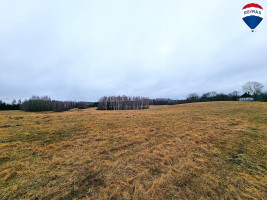 Parduodamas sklypas Mykoliškių k., 250 a ploto 2