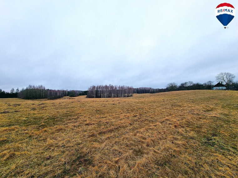 Parduodamas sklypas Mykoliškių k., 250 a ploto 2