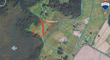 Parduodamas sklypas Mykoliškių k., 250 a ploto 4