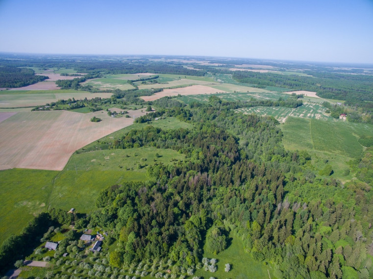 Parduodamas  sklypas Janionių k., Širvintų r. sav., 1336 a ploto 2