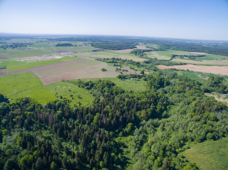 Parduodamas  sklypas Janionių k., Širvintų r. sav., 1336 a ploto 3