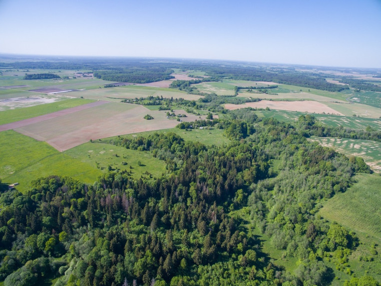 Parduodamas  sklypas Janionių k., Širvintų r. sav., 1336 a ploto 5