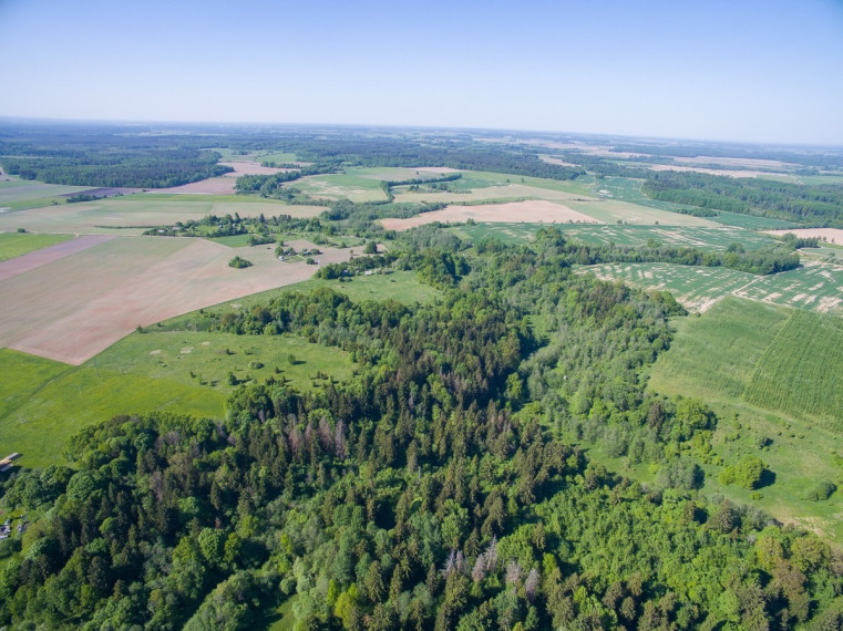 Parduodamas  sklypas Janionių k., Širvintų r. sav., 1336 a ploto 6