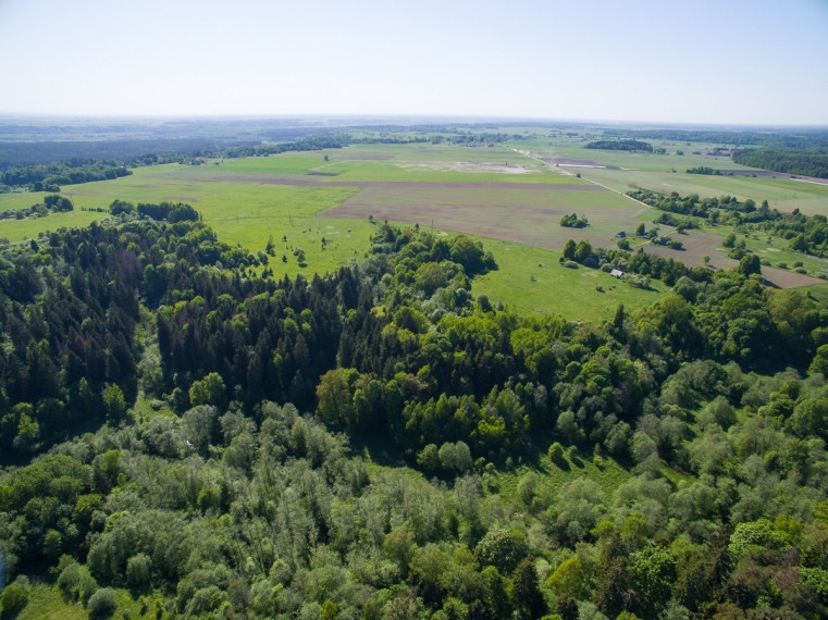 Parduodamas  sklypas Janionių k., Širvintų r. sav., 1336 a ploto 7