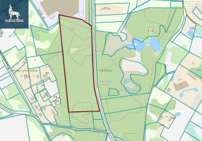 Parduodamas  sklypas Čekoniškių k., Vilniaus r. sav., 775 a ploto 2