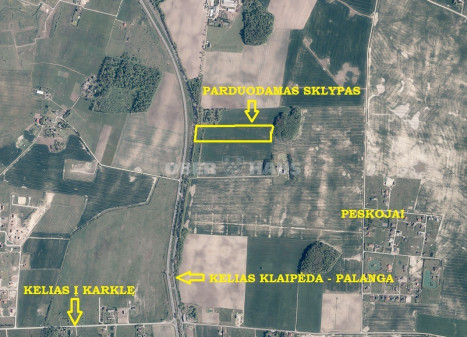 Parduodamas žemės ūkio paskirties sklypas Peskojų k., Klaipėdos r. sav., 499 a ploto