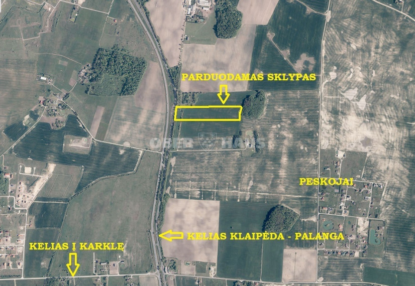 Parduodamas žemės ūkio paskirties sklypas Peskojų k., Klaipėdos r. sav., 499 a ploto 1