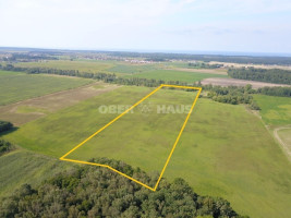 Parduodamas žemės ūkio paskirties sklypas Peskojų k., Klaipėdos r. sav., 499 a ploto 4