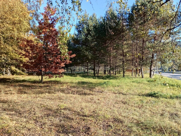 Parduodamas pramonės/sandėliavimo/prekybos paskirties sklypas Aušros g., Druskininkų m., Druskininkų sav., 9 a ploto 12