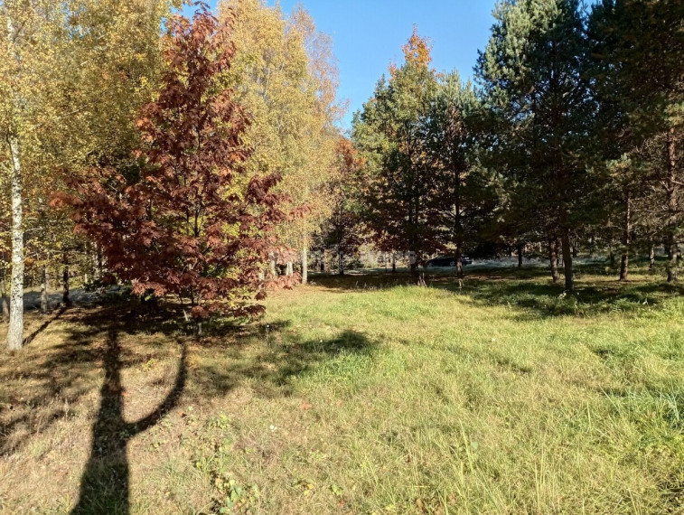 Parduodamas pramonės/sandėliavimo/prekybos paskirties sklypas Aušros g., Druskininkų m., Druskininkų sav., 9 a ploto 11