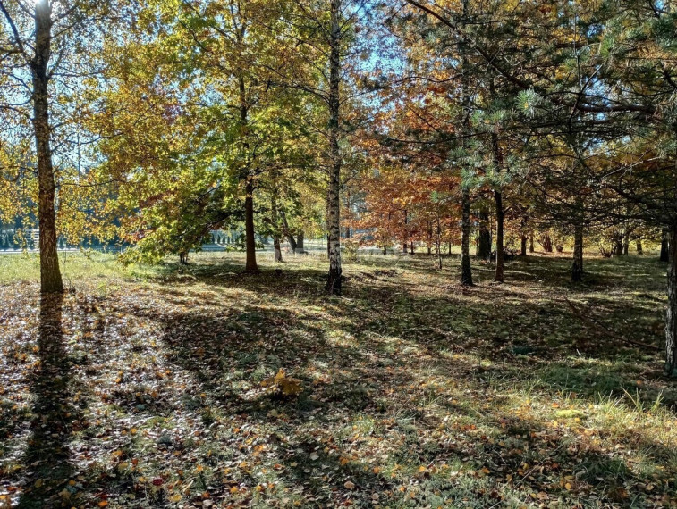 Parduodamas pramonės/sandėliavimo/prekybos paskirties sklypas Aušros g., Druskininkų m., Druskininkų sav., 9 a ploto 13