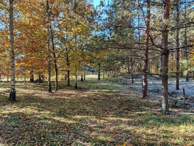 Parduodamas pramonės/sandėliavimo/prekybos paskirties sklypas Aušros g., Druskininkų m., Druskininkų sav., 9 a ploto 14