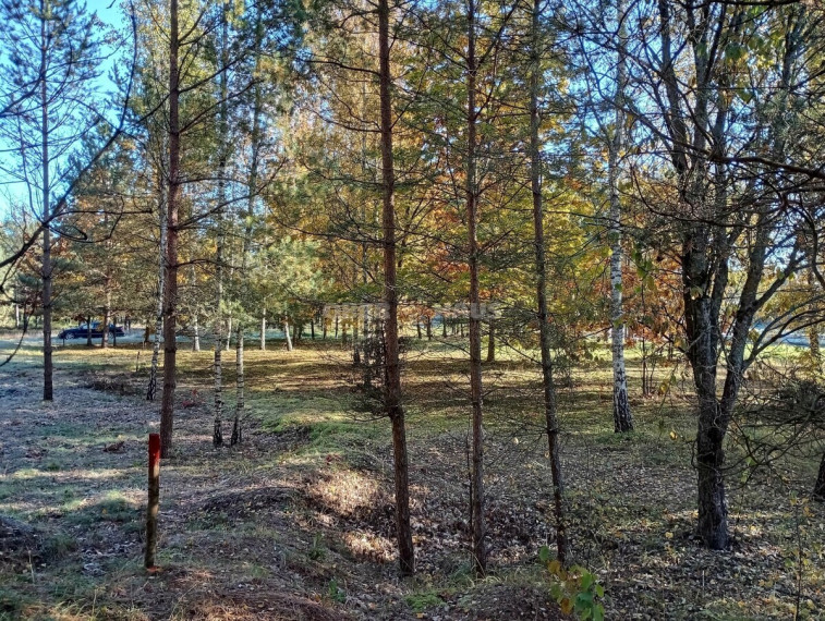 Parduodamas pramonės/sandėliavimo/prekybos paskirties sklypas Aušros g., Druskininkų m., Druskininkų sav., 9 a ploto 15