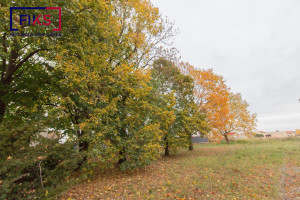 Parduodamas namas Armališkių g., Vaišvydava, Kauno m., Kauno m. sav., 180.00 m² ploto 4 kambariai 19