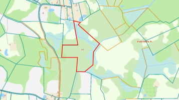 Parduodamas  sklypas Petriškių k., Vilniaus r. sav., 478 a ploto 11