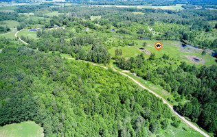 Parduodamas  sklypas Petriškių k., Vilniaus r. sav., 478 a ploto 22