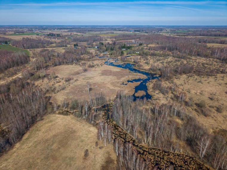 Parduodamas sklypas Petriškių k., Vilniaus r. sav., 478 a ploto 2