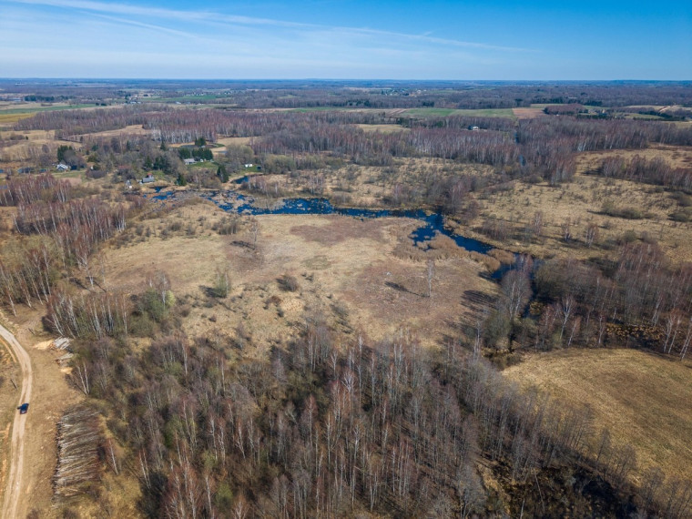 Parduodamas sklypas Petriškių k., Vilniaus r. sav., 478 a ploto 4