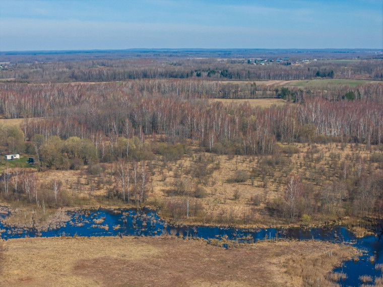 Parduodamas sklypas Petriškių k., Vilniaus r. sav., 478 a ploto 5