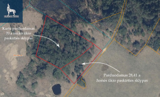 Parduodamas kitos paskirties sklypas Žindulių k., Širvintų r. sav., 193 a ploto 5
