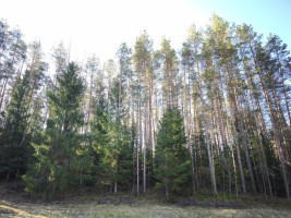 Parduodamas namas Degučių k., Zarasų r. sav., 68 m² ploto 3 kambariai 12