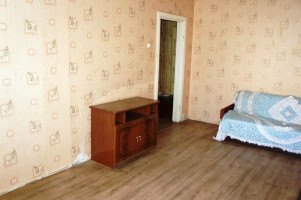 Parduodamas butas Didžiasalio k., Ignalinos r. sav., 46.67 m² ploto 2 kambariai 4