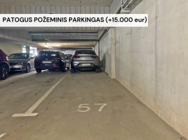 Parduodamas butas Kazio Ulvydo g., Žirmūnai, Vilniaus m., Vilniaus m. sav., 41.1 m2 ploto, 2 kambariai 21