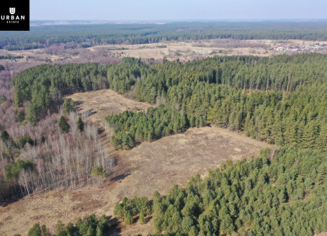 Parduodamas sklypas šalia Vaičios upelio, nuostabiame pušyne Čepurniškių k., 282 a ploto