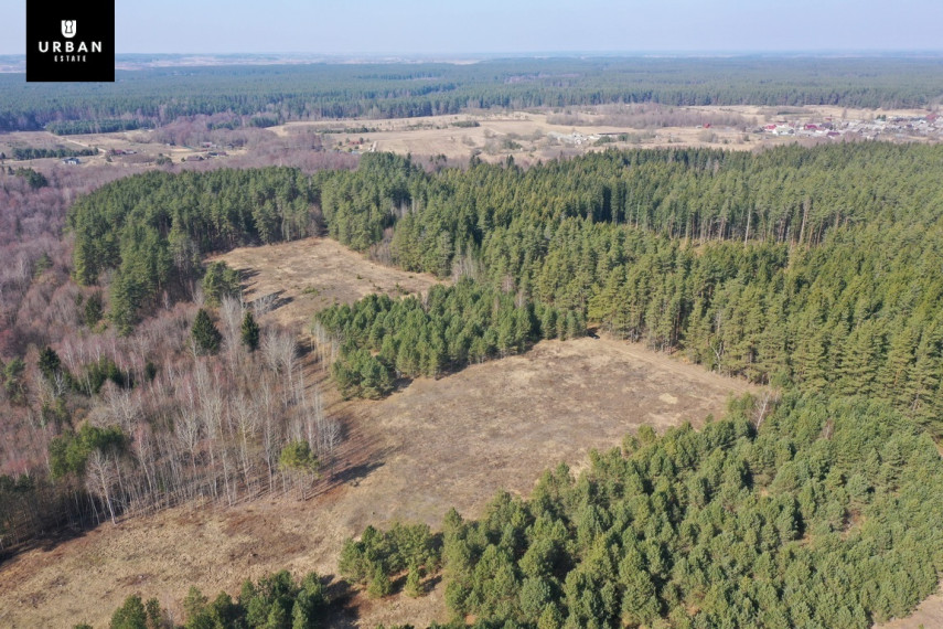 Parduodamas sklypas šalia Vaičios upelio, nuostabiame pušyne Čepurniškių k., 282 a ploto 1