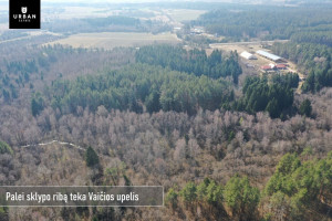 Parduodamas sklypas šalia Vaičios upelio, nuostabiame pušyne Čepurniškių k., 282 a ploto 4