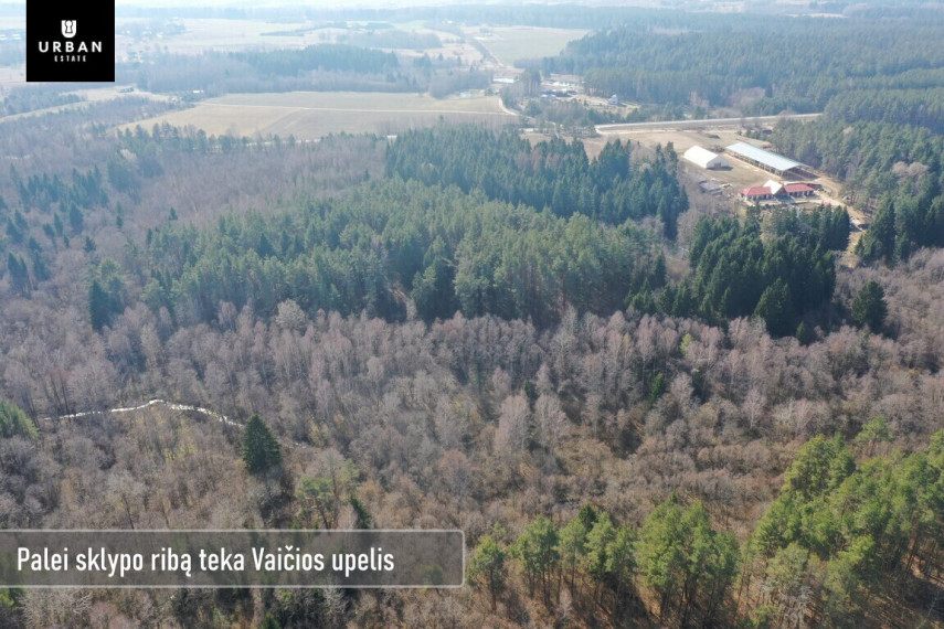 Parduodamas sklypas šalia Vaičios upelio, nuostabiame pušyne Čepurniškių k., 282 a ploto 4