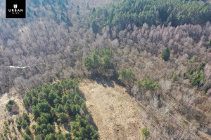 Parduodamas sklypas šalia Vaičios upelio, nuostabiame pušyne Čepurniškių k., 282 a ploto 5