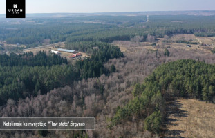 Parduodamas sklypas šalia Vaičios upelio, nuostabiame pušyne Čepurniškių k., 282 a ploto 9